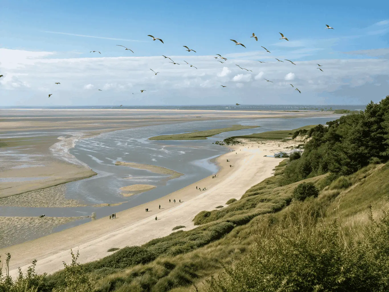 A serene image of the Aiguillon Bay and the Poitevin Marsh, showcasing the natural beauty and cultural significance of the region.